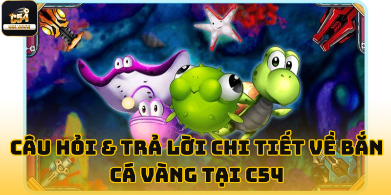 Bắn cá vàng C54 - Sảnh chơi với đồ họa 3D cực đẹp 6 Câu hỏi & Trả lời chi tiết về Bắn Cá Vàng tại C54