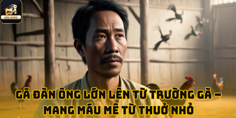 Hưng Chọi Gà đọc thế đòn cực chuẩn, thắng đậm 320 triệu tại sảnh Đá Gà C54 2 Người lớn lên giữa trường gà, ôm đam mê từ thuở nhỏ.